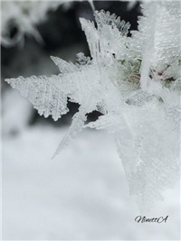 a99c54ec-20170115 VV kristal.jpg